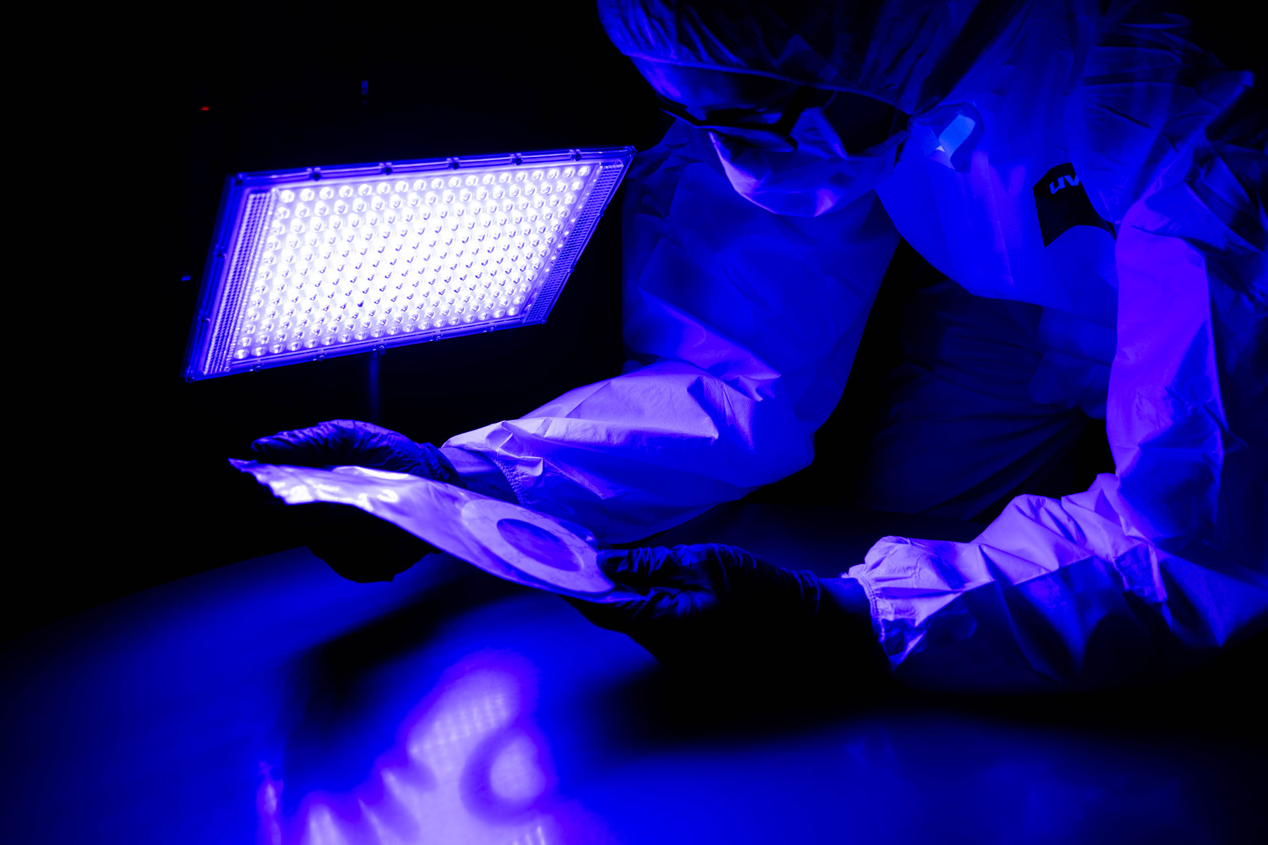 A person in protective gear examines evidence under a blue UV light in a dark room.